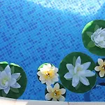 семеен идън Hotel